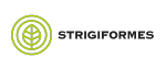 Strigiforms_logo 1000 x500